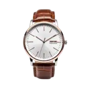 Wristwatch